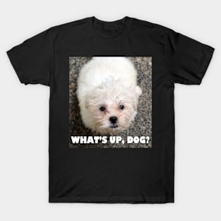 What's up, dog? T-Shirt